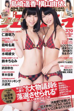 胡彦良
