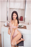 白智英郑锡元