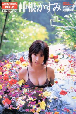 花好月圆歌曲